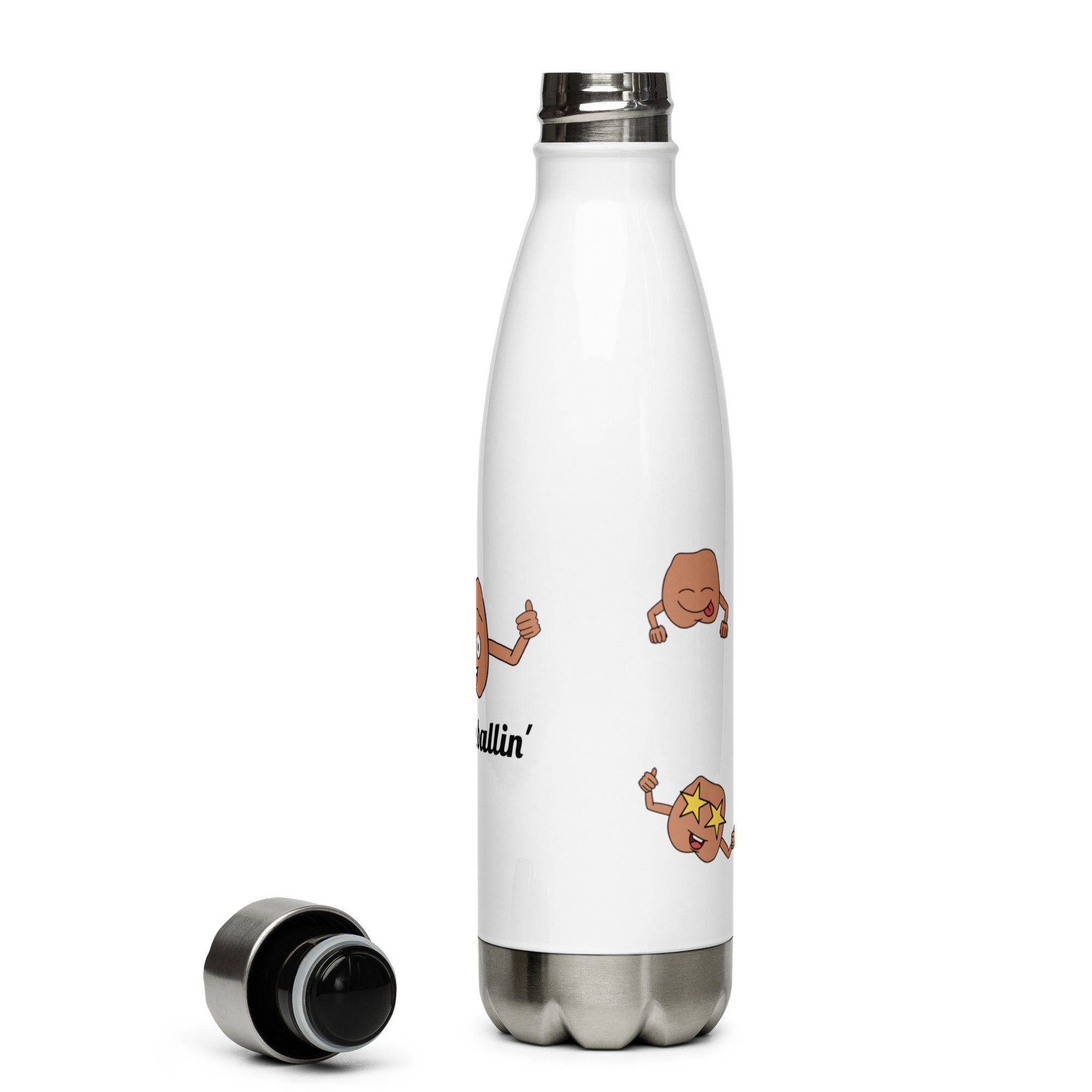 Stainless Steel Water Bottle